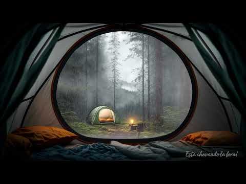 Just relax in the tent: Sound of rain in the tent with thunder in a foggy forest