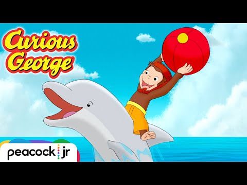 George's Island Adventure | CURIOUS GEORGE