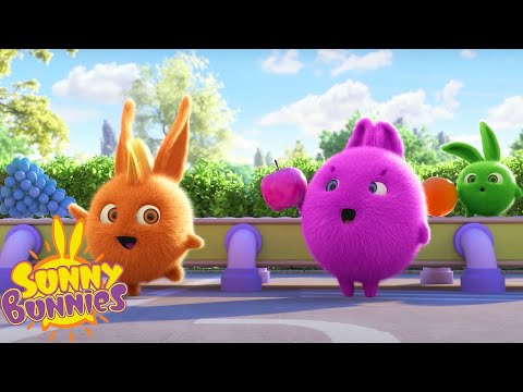 SUNNY BUNNIES - FAVOURITE FRUITS | SEASON 7 HITS | Cartoons for Kids