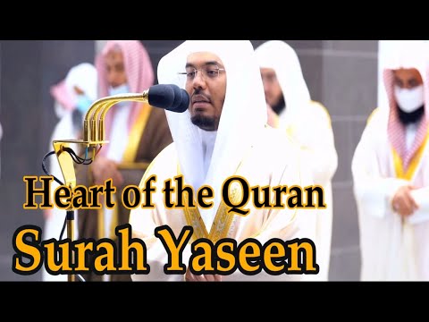 Surah Yaseen with English translation | Sheikh Yasser al Dossari Beautiful Recitation