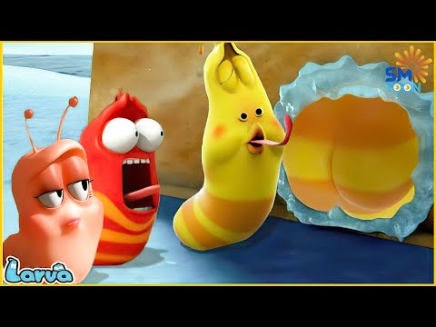 LARVA Strange Objects - The Best Funny Cartoon 2023 - The Movie Is Worth Watching