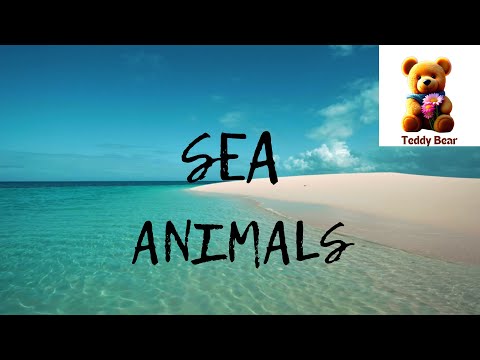 Sea Animals | Sea Livings | Learn Sea Animals | Learn Sea Livings | Teddy Bear Kids Channel