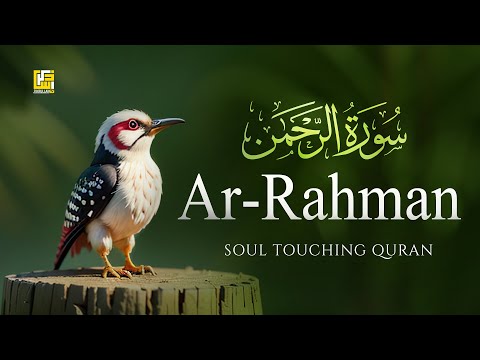 Surah Rahman سُوْرَۃ الرَّحْمَٰن | This VOICE will MELT your HEART إن شاء الله | Zikrullah TV