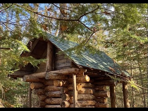 Teenager Builds OFF GRID LOG BUNKHOUSE With Hand Tools