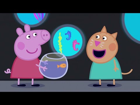 🔴 Nonstop Peppa Pig Livestream - Join the Fun 24/7! 🐷🎉