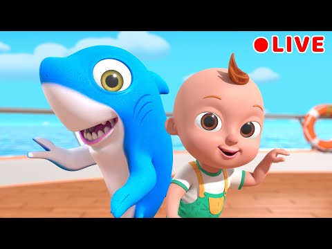 Baby Shark + more Nursery Rhymes | Beep Beep Nursery Rhymes &amp; Baby Songs