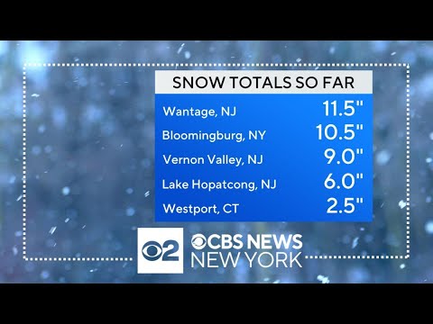 Winter storm fails to bring 1 inch of snow to Central Park