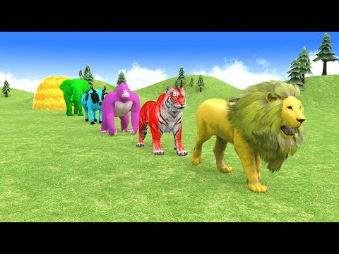 Long Slide Game With Elephant Gorilla Buffalo Hippopotamus Tiger - 3d Animal Game - Funny 3d Animals