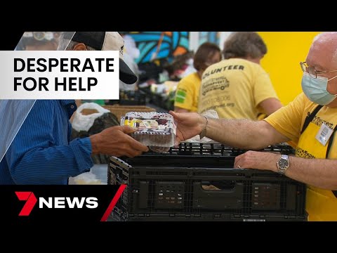 Australians turn to charities to feed families as food prices continue to climb | 7 News Australia