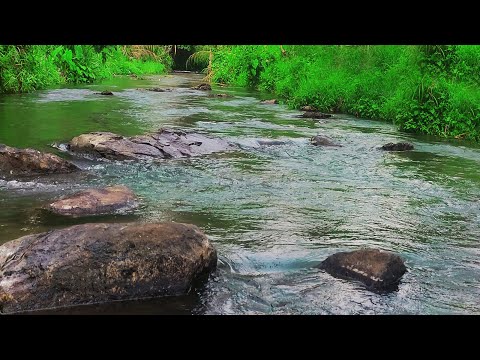 Calming Sound of Mountain River, Amazing nature sounds, Babbling brook, Flowing Water, Forest Sound