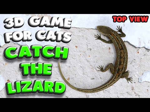 3D game for cats | CATCH THE LIZARD (top view) | 4K, 60 fps, stereo sound