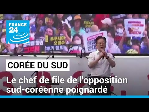 Le chef de file de l'opposition sud-cor&eacute;enne poignard&eacute; &bull; FRANCE 24