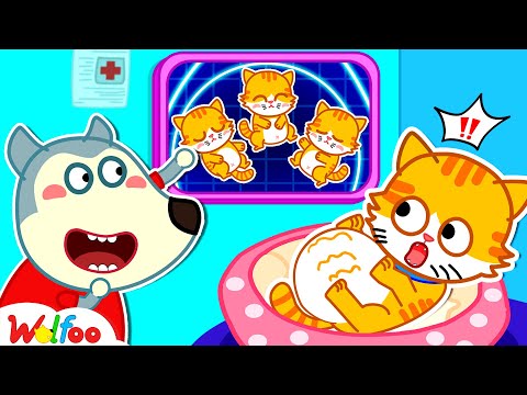 Wolfoo Found a Pregnant Cat! How to Take Care of Your Pet - Wolfoo Kids Stories | Wolfoo Family