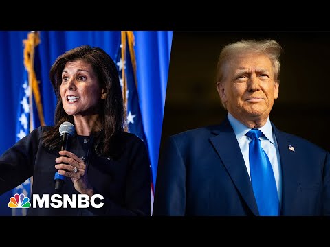 'Best shot:' Big money donors bet on Nikki Haley to take down Trump