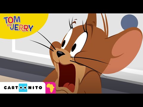 Tom and Jerry: Trapped | Cartoonito Africa