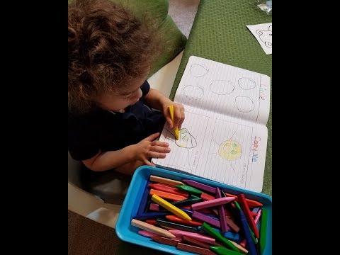 DIY 2- 3 year old Interactive notebook! Preschool Prep