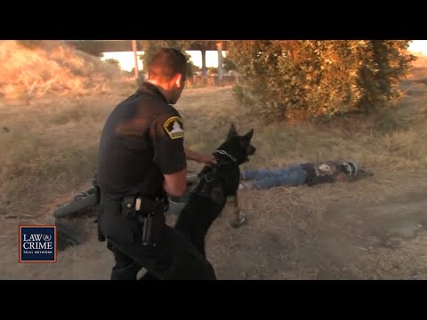 25 Wildest Police Moments Caught on Camera &mdash; The Ultimate Collection