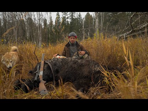 Уехали на осень в Тайгу , потеряли Дара , ДОБЫЛИ трофейного медведя .