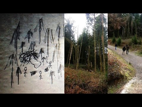 The Pentyrch Incident - Smilog Woods - Witness Saw What Crashed