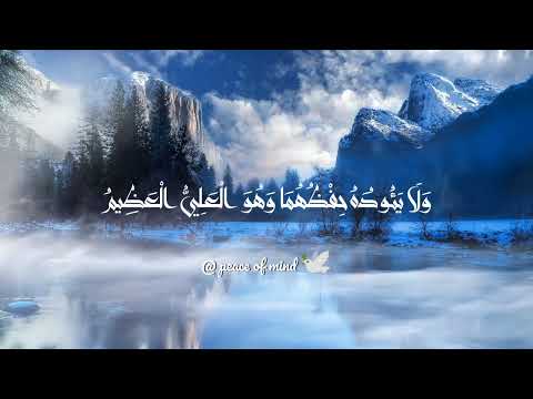 آية الكرسي | Mevlan Kurtishi