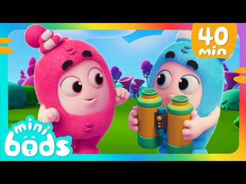 Los minibods van de campamento 🏕️|🌈 Caricaturas para ni&ntilde;os🌈 | Minibods en Espa&ntilde;ol