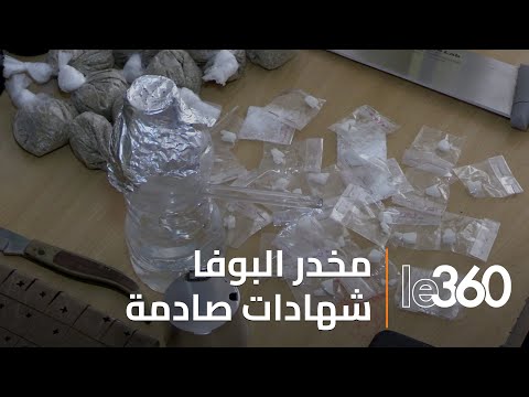 تحقيق: &quot;البوفا&quot; المخدر الأخطر  كيف يصنع وأين يروج معطيات وشهادات صادمة