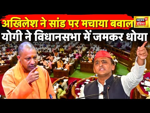 CM Yogi ने दिया Akhilesh Yadav के सांड वाले सवाल का जवाब| BJP | UP Vidhan Sabha | Trending | News18