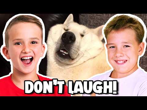 Extreme Try Not To Laugh Challenge!!