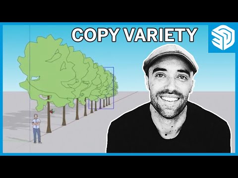 Component Copy Variety - Skill Builder