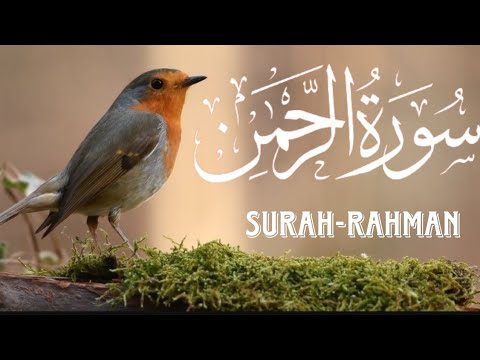 Surah-Al-rahman beautiful Quran recitation