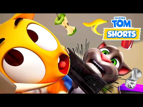 Talking Tom - Master of Trash 🗑 😏 Cartoon for kids Kedoo Toons TV