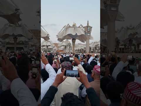 Al madinah al munawwarah umbrella opening