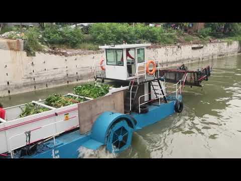 MMDA Water Hyacinth Removal