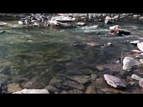 Rapids on the Lockatong Creek at the Wescott Preserve in the Summer in New Jersey