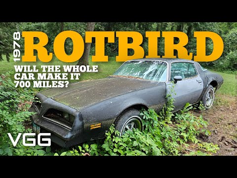 Will it RUN AND DRIVE 700 Miles Home? RUSTIEST Forgotten Firebird EVER!