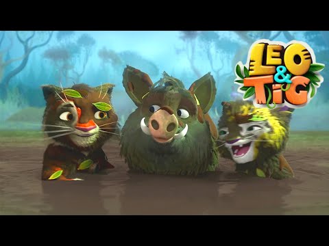 LEO and TIG 🦁 🐯 Full episodes collection (1- 15) 🍈 Cartoons collection 💚 Moolt Kids Toons Happy Bear