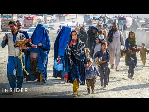 Inside Pakistan's Push to Deport Millions of Afghans To Live Under the Taliban | Insider News