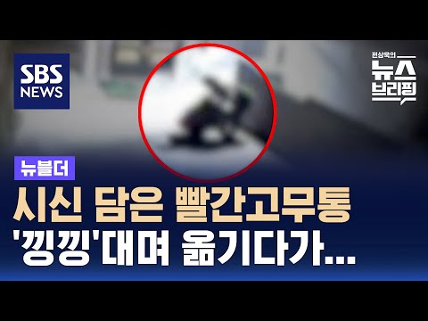 20년 키워준 의붓어머니 살해 뒤 암매장&hellip;CCTV에 덜미 잡혔다 / SBS / 뉴블더