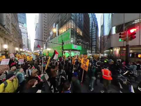 Pro-Palestine Protest in Lower Manhattan NYC