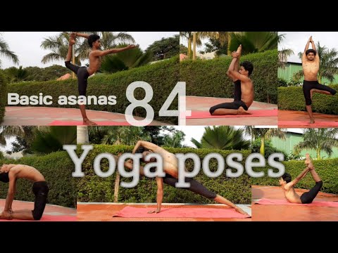 84 yoga poses of hatha yoga| Basic asanas | only 7 minutes | Sanyoga | Yogi Sanjay