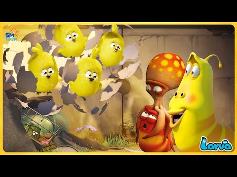 LARVA SEASON 1 EPISODE 214 ~ 376 | CARTOON MOVIE NEW SEASON | CARTOON BOX TOP 100