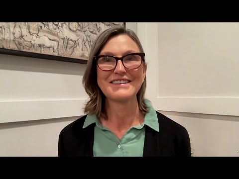 Cathie Wood on Bitcoin Holdings, Tesla, AI, 2024 Outlook