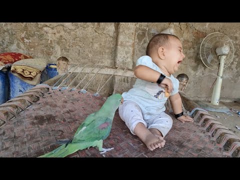 Parrot &amp; Cute Baby | 28 September 2023