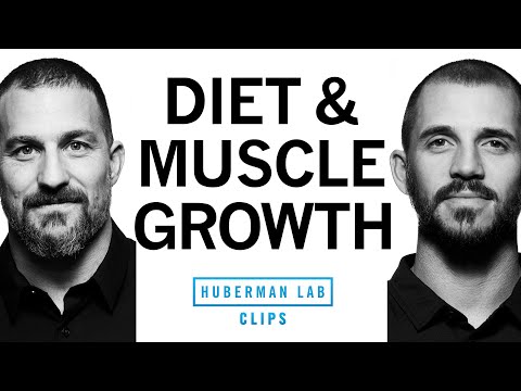 Diet &amp; Supplementation for Muscle Growth | Dr. Andy Galpin &amp; Dr. Andrew Huberman