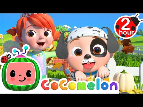 Wear Costumes To The Pumpkin Patch! | 2 HOUR CoComelon Kids Songs &amp; Nursery Rhymes