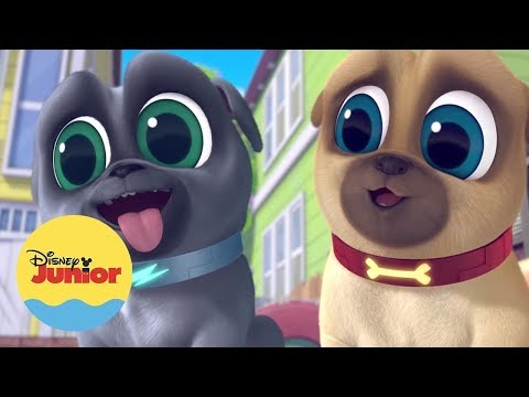 Diversi&oacute;n en caja | A jugar con Puppy Dog Pals