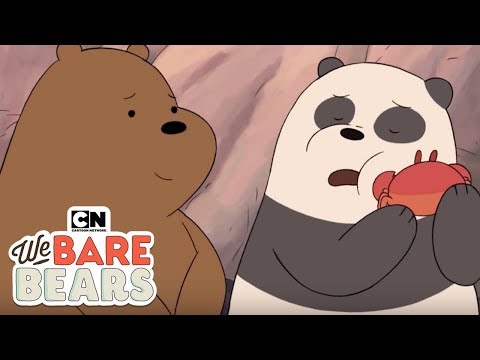 We Bare Bears | Friendship Moments - Part 3 (Hindi) | Cartoon Network