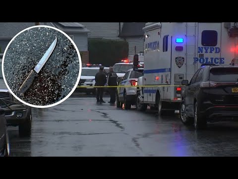 Queens stabbing rampage leaves 4 dead, 2 officers injured