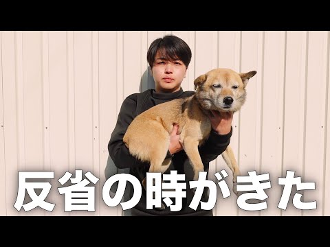 【24歳実家暮らし】正月に不摂生した飼い主と愛犬のモーニングルーティン。