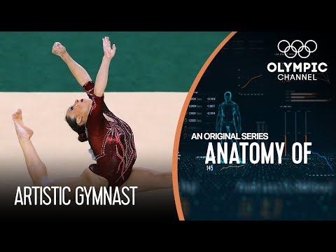 Anatomy of a Gymnast: Are They The Most Flexible Athletes on Earth?